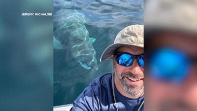 what city am i in|'Epic Adventure:' Basking Shark Comes Within Feet of Boat off .